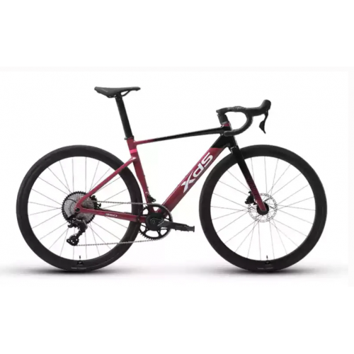 XDS AD350 油壓碟刹內走線12速公路車
